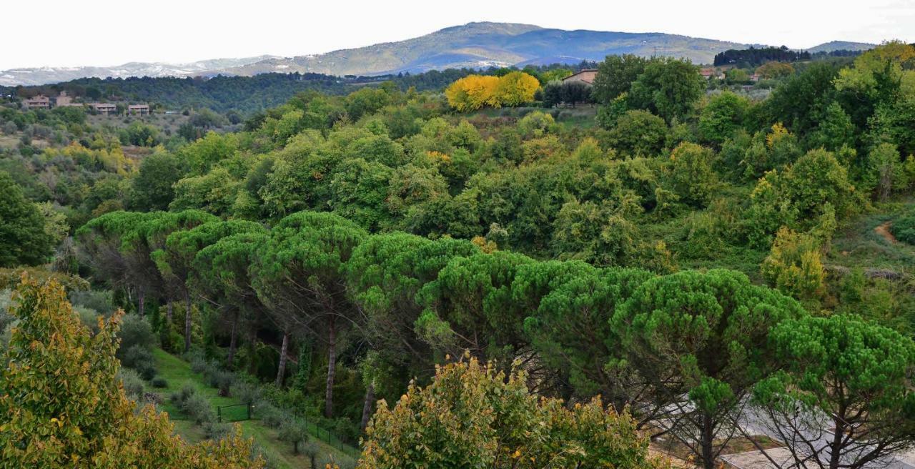 Pieve Suites Citta della Pieve Bagian luar foto